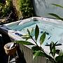 Executive Suite With Private Hot Tub Skytv