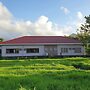 Mayon View Garden Apartelle Sa Bukid