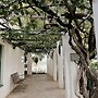 The Historical boutique Hotel