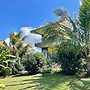 The Fruit Tree Garden Bromeliad Suite