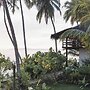 Kaini Mentawai