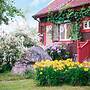 4 Star Holiday Home in Djursholm