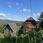 Andi's Berghutte Comfortable Holiday Residence
