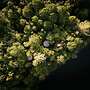 Hôtel UNIQ - Forêt Ô Cascades - Tentes Glamping