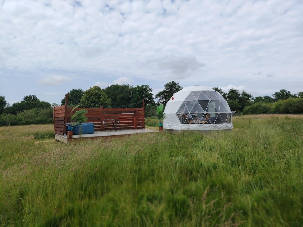 Berry Dome