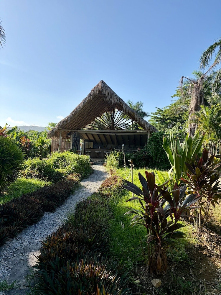 Dominican Jungle Resort