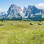 Vidora Apartments - Dolomites Escape