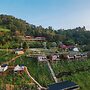 Long Hak Khao Camping Phu Chi Fa