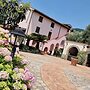 Tenuta D'Arienzo