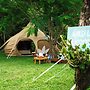 Wild Lotus Rainforest & River Glamping