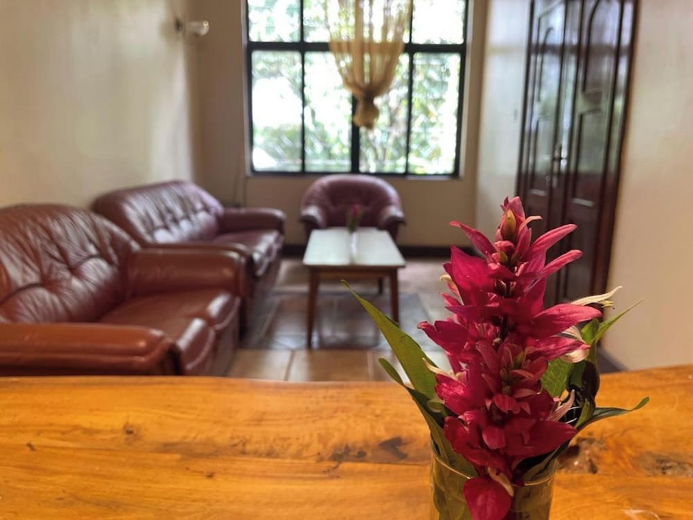 Olivia Guesthouse