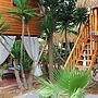 Triton Hotel & Bungalows