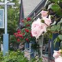 The Oak Bluffs Inn