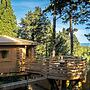 Hotel Les Cabanes Dans Les Bois