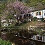 Charming Apartment in Weissenbrunn Near Forest