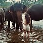 Elepath Lodge - Pinnawala