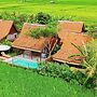 Rumah Tengah Sawah