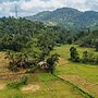Forest & Fields Sinharaja