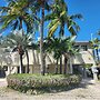 Palm Tree Cove Resort