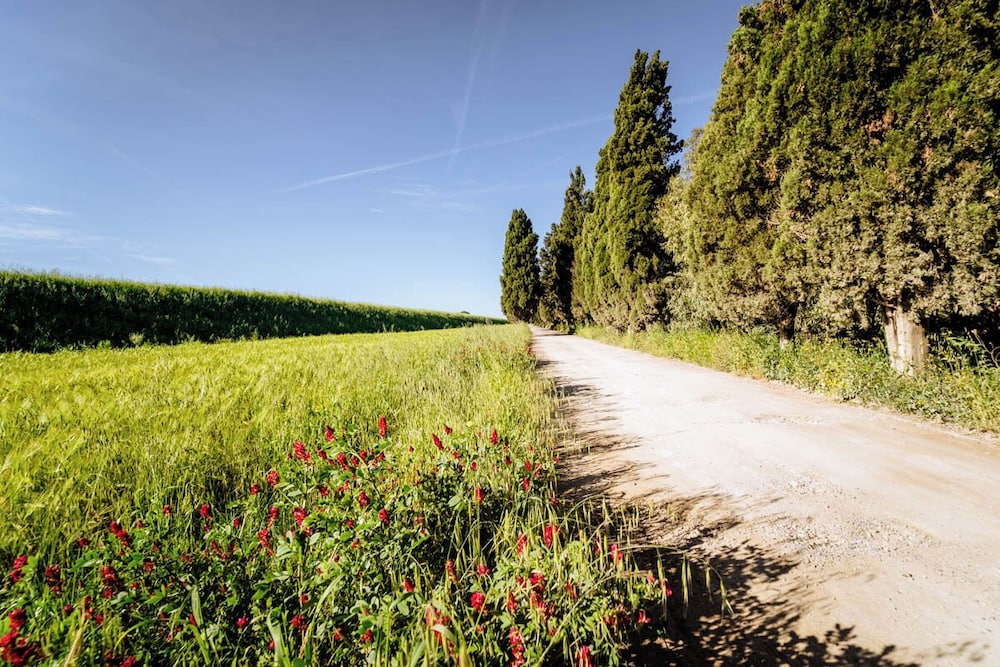 Agriturismo Bio San Mamiliano