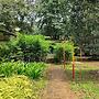 Tree Paradise Resort
