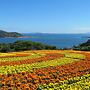 Nokonoshima Island Park Villa Sakimori