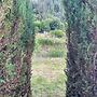 Highland River Retreat