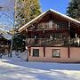 Chalet in La Bresse Near Ski Resort