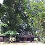 Kv Jungle Bungalows