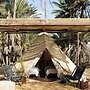 Crania Reclaim Camp