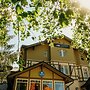 Platinum Adults
