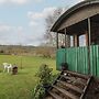 Harri's Hut