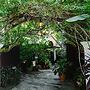 Bella Boutique Homestay