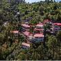 Maple Resort Chail