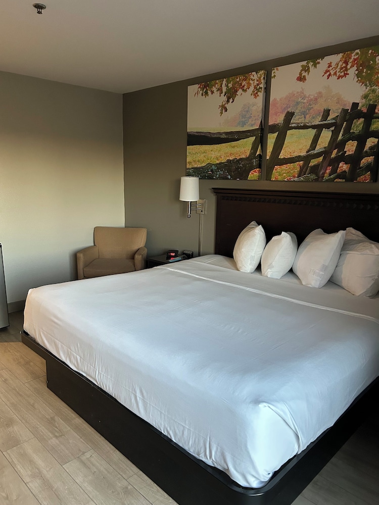 Park Inn