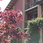 B&B Rubino