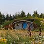 Terra Experience