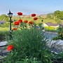 Spacious and Idyllic Cottage Retreat - Conwy