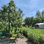 Holiday Home in Friesland With Greenhouse Charm