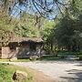 Sycamore Lodge