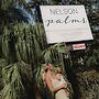 Nelson Palms Motel