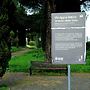Appia Antica Room