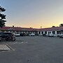 Tulip Motel