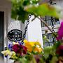 Bay Tree House B&B