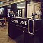 Boutique Hotel Opus One