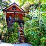 Khao Sok Tree House