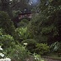 Cedrela Ecolodge