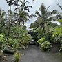 Jungle Oasis