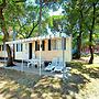 Caravan Park Belvedere, Grado