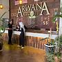Arwana Perhentian Bluestar
